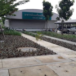 Cable trance รถไฟฟ้า BTS.