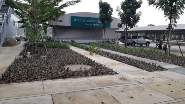 Cable trance รถไฟฟ้า BTS.